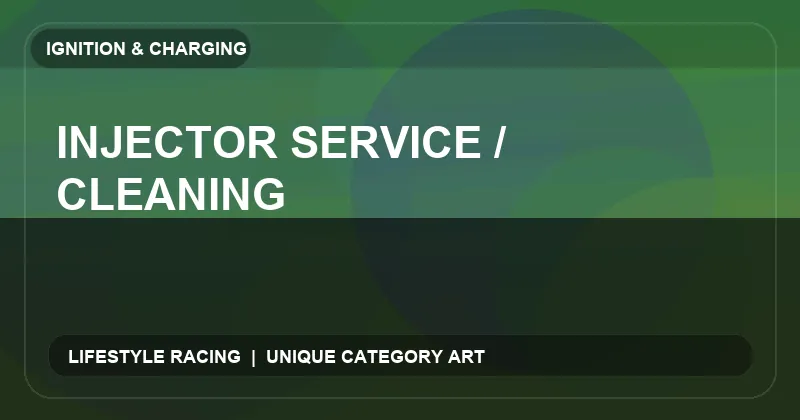 Injector Service / Cleaning